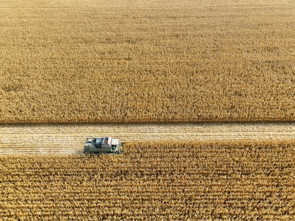 Aerial drone view of corn harvest. A photograph taken in agricultural lands in Turkey.
